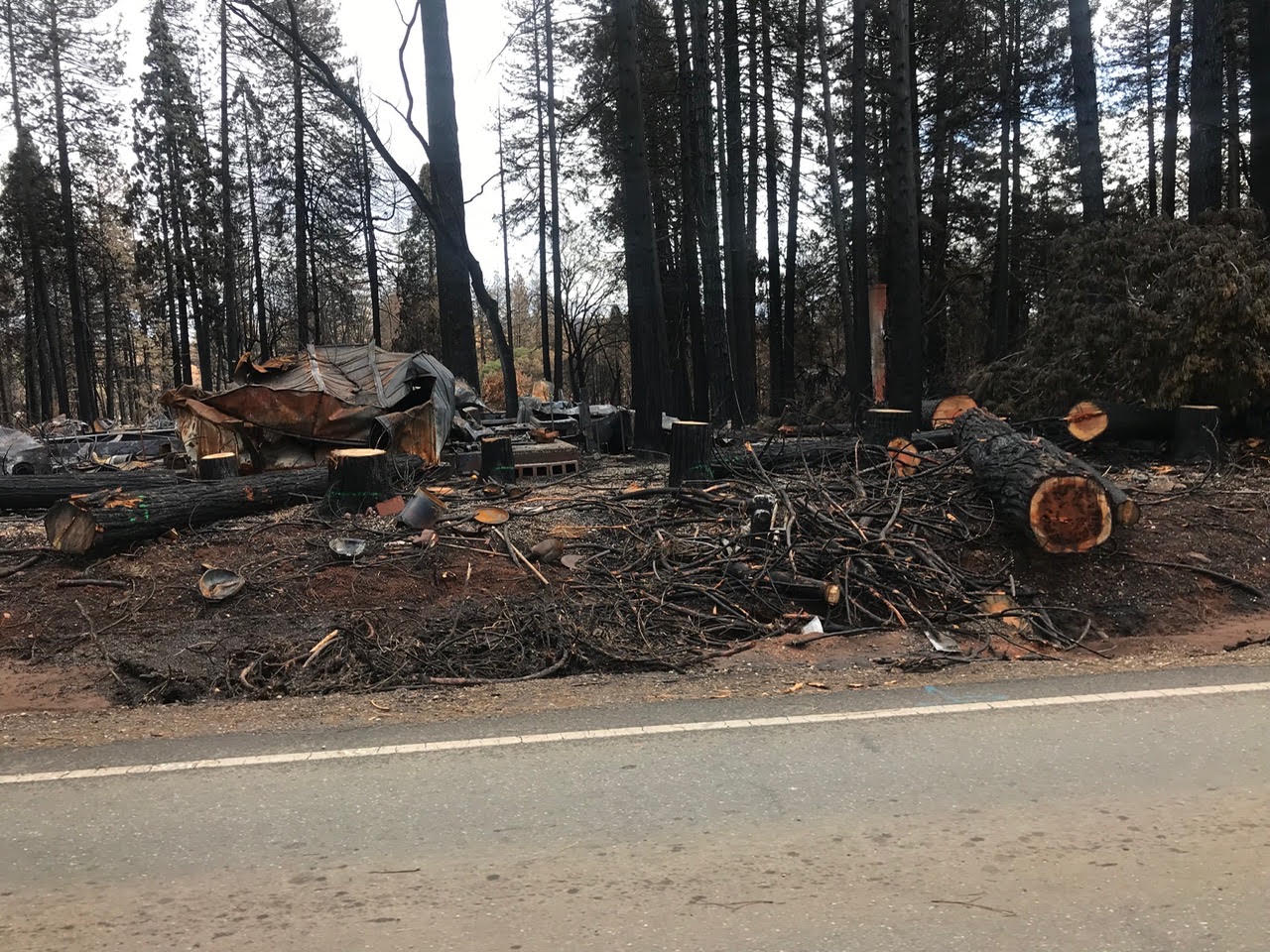 Burned residential site with structural debris and damaged trees